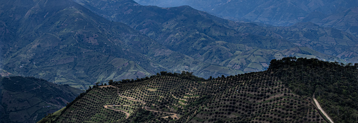 Fazenda em grande altitude