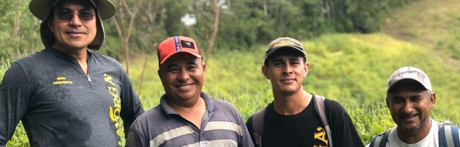Produtores que optaram por diversificar suas lavouras